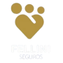 Fellini Corretora de Seguros